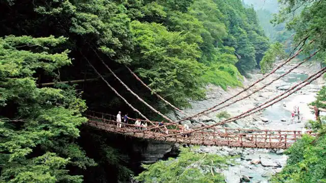 遠くから見た吊り橋の全景